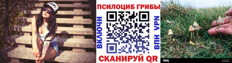 Галлюциногенные грибы мицелий  наркотики  Горячий Ключ 